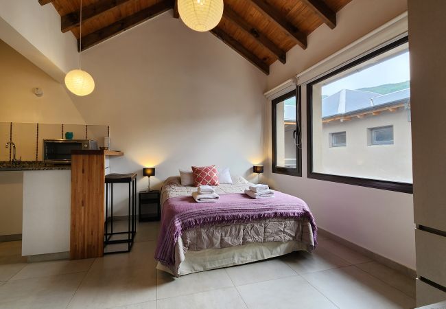 Estúdio em San Martin de los Andes - Aluen 2B - Andarlibre