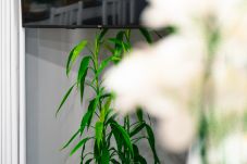 Apartamento em Machico - Rose House