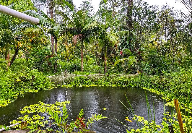 Casa em Mongaguá - Ótima chácara com Wi-Fi em Mongaguá-SP