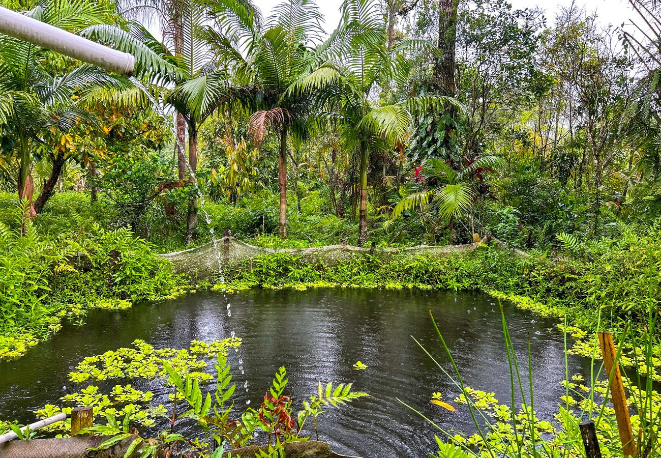Casa em Mongaguá - Ótima chácara com Wi-Fi em Mongaguá-SP