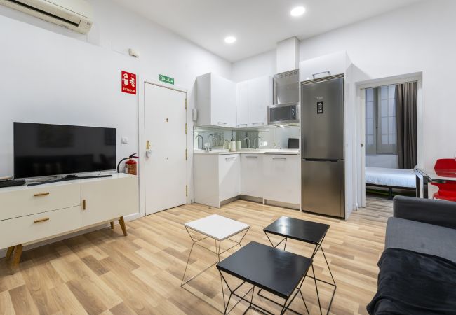 Apartment in Madrid - Modern Madrid Downtown Puerta Del Sol M (PRE2B)