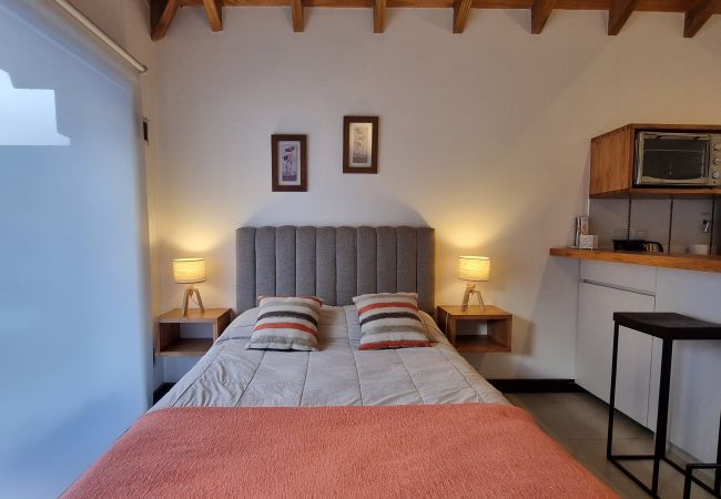 Studio in San Martin de los Andes - Aluen 2D - Andarlibre