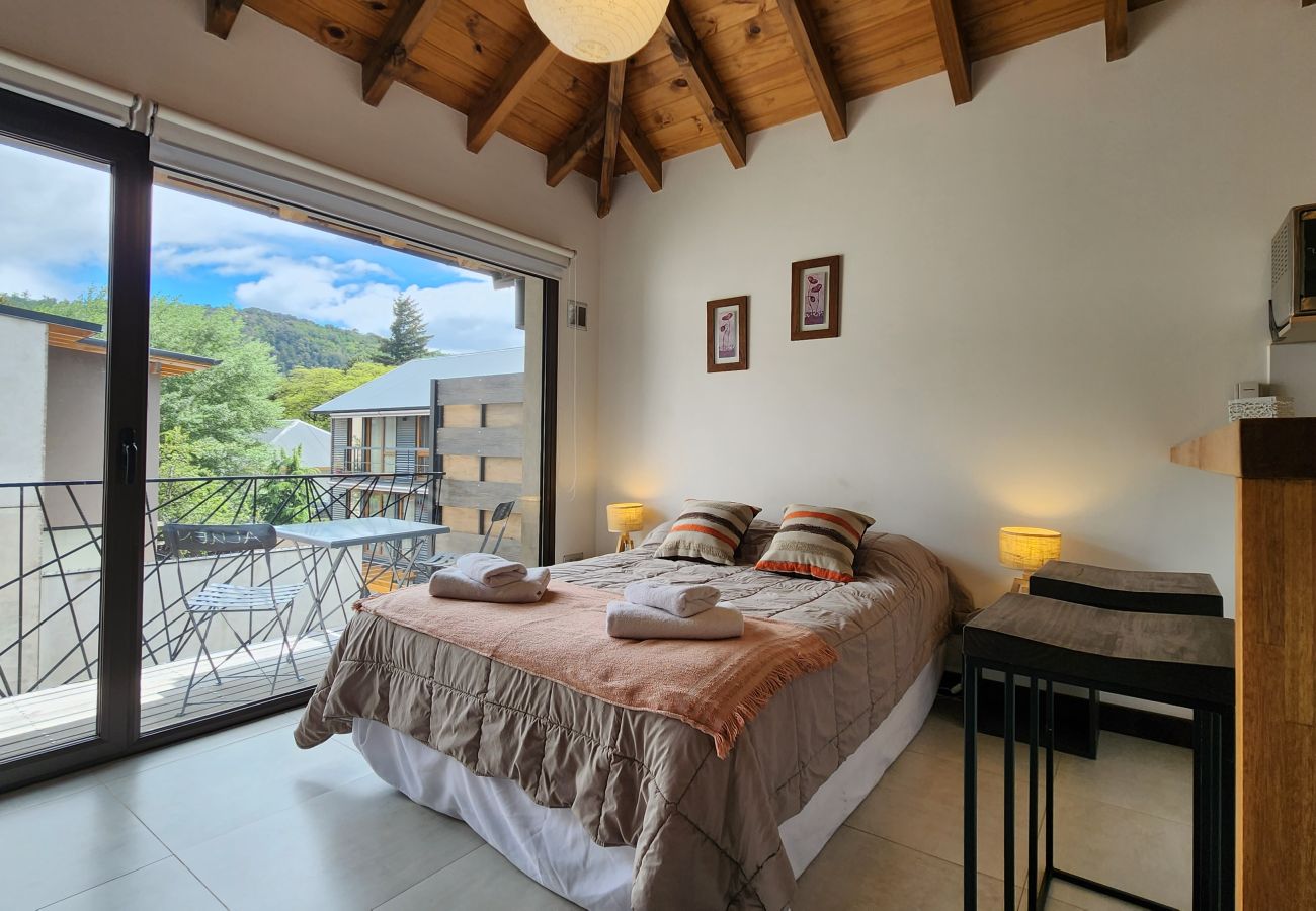 Studio in San Martin de los Andes - Aluen 2D - Andarlibre