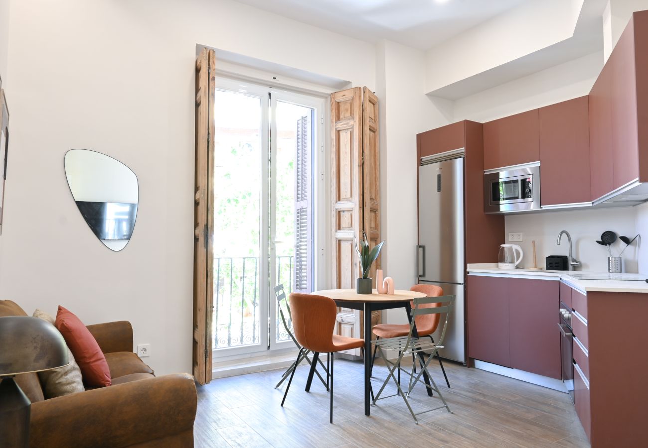 Studio in Madrid - Central and Bright Apartment in Madrid 