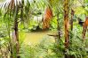 House in Rio de Janeiro - Country House with Outdoor Fireplace, Hammock & Lake