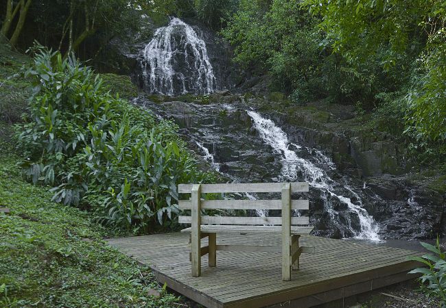 Casa en Linha Nova - Refúgio confortável na Cabana Gold - Linha Nova/RS