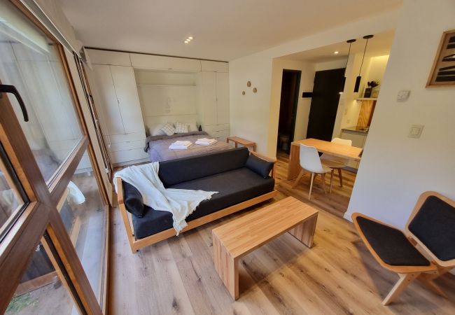 Estudio en San Martin de los Andes - Alamos del Rio 103 - Andarlibre