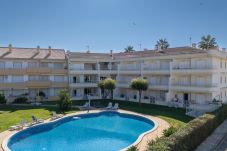 Apartamento en Vilamoura - Apartamento de 2 quartos-Centro Vilamoura - Greice Homes 