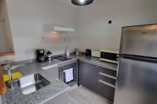 Estudio en San Martin de los Andes - Merlot - Andarlibre